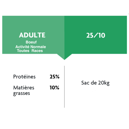 Alimentation chien adulte,  Le Havre