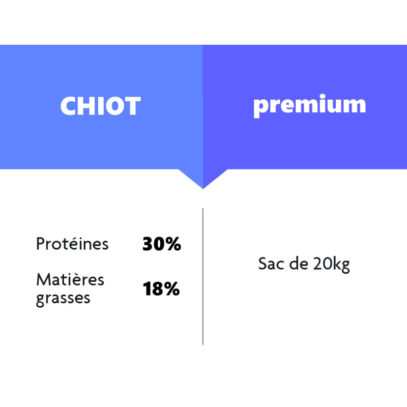 Chiot Premium Chiot Premium